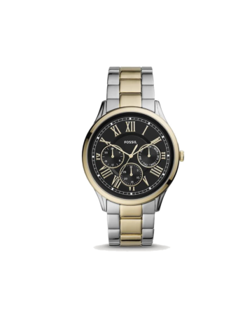 Fossil FS5704 – Men's Watch Quartz, Silver X Gold